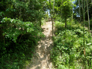 河頭山お散歩コース