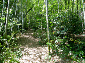 河頭山お散歩コース