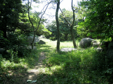 河頭山お散歩コース