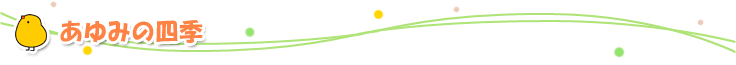 あゆみの四季