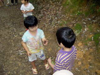 あゆみの四季、秋