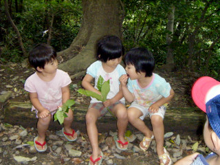自然の育ちを大切にする保育