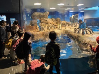 IMG_0785.jpg