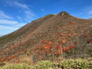 image1.jpeg